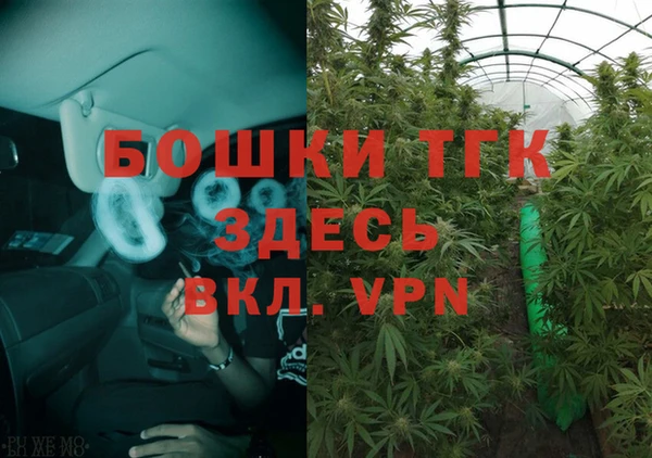 прущие грибы Алзамай