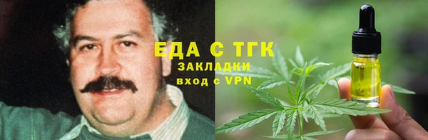 прущие грибы Алзамай
