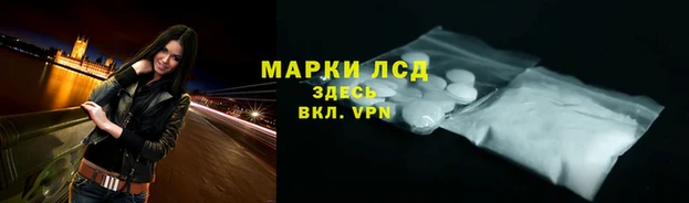 прущие грибы Алзамай