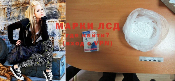 прущие грибы Алзамай