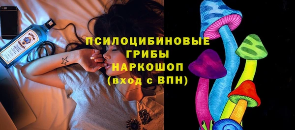 прущие грибы Алзамай
