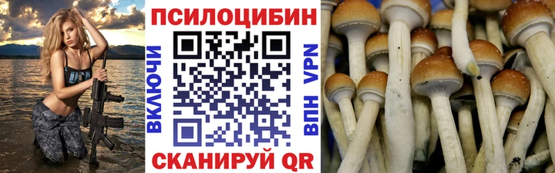 Галлюциногенные грибы MAGIC MUSHROOMS  Елец 